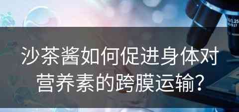 沙茶酱如何促进身体对营养素的跨膜运输？